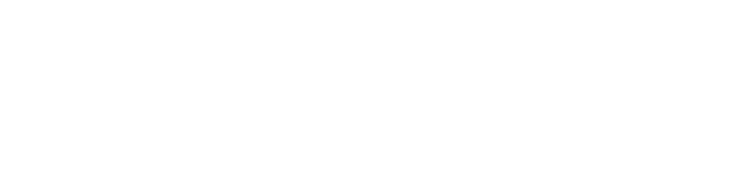 Disability Insurance Agency